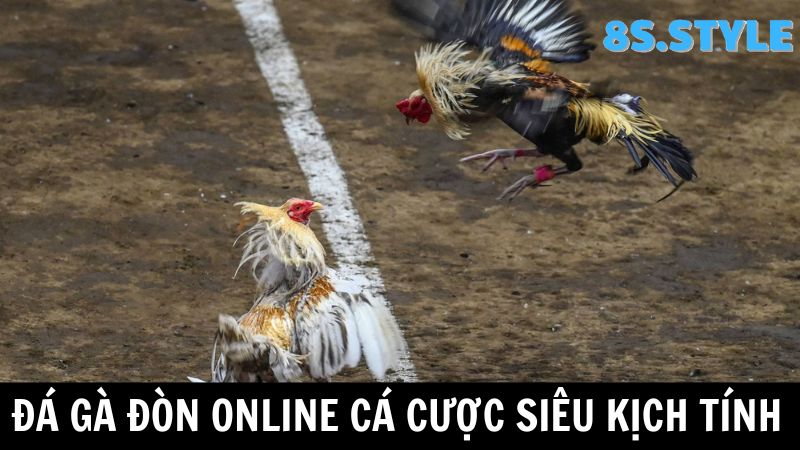 8S Đá gà online kịch tính 