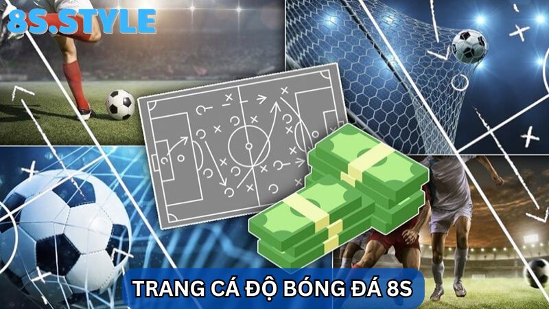 trang cá độ bóng đá 8S