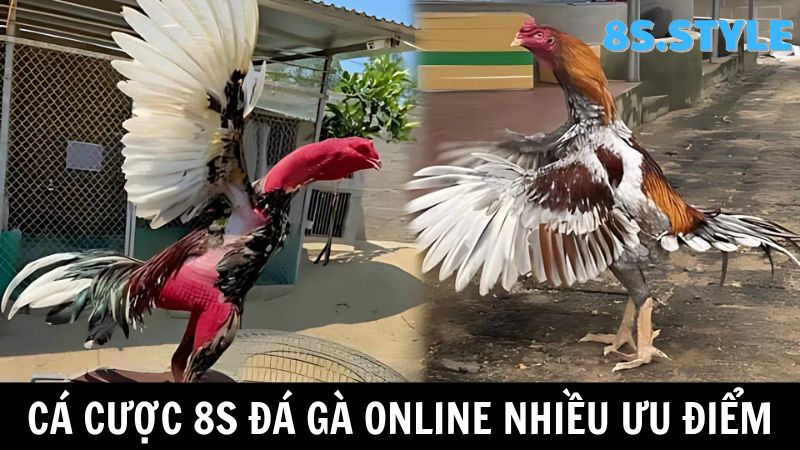 Ưu điểm 8S Đá gà online